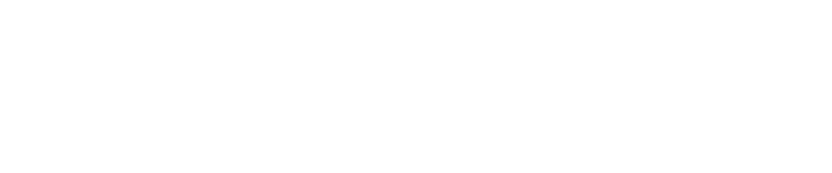 Dyzajner
